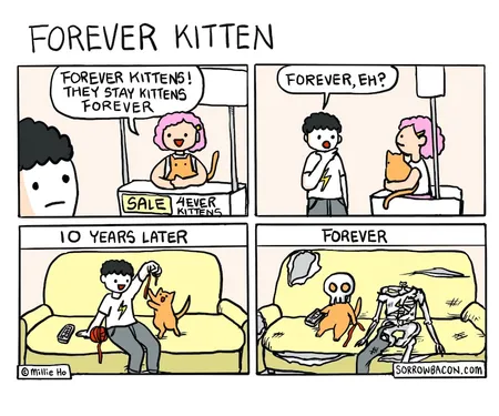 sorrowbacon Forever Kitten comic thumbnail