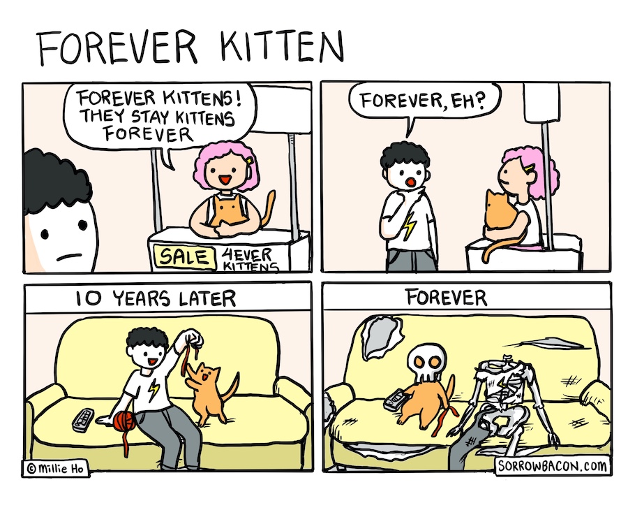 Forever Kitten - sorrowbacon comic by Millie Ho